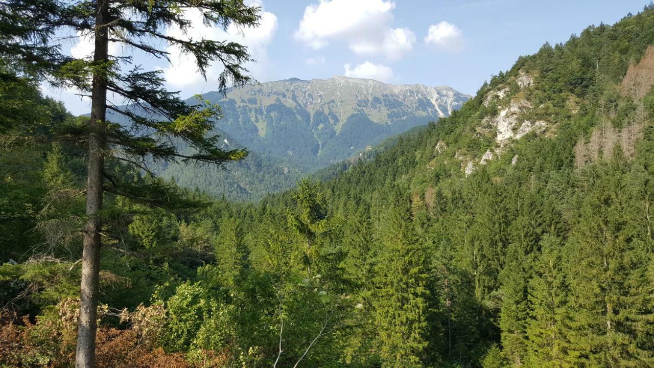 Rooms Mocilnik Begunje na Gorenjskem Dış mekan fotoğraf